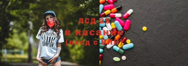 хмурый Белокуриха