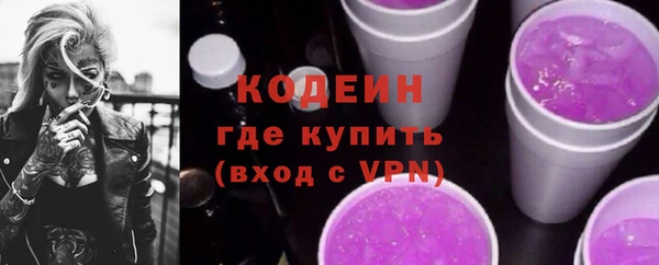 ПСИЛОЦИБИНОВЫЕ ГРИБЫ Горняк