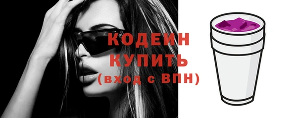 хмурый Белокуриха
