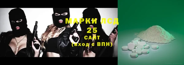 хмурый Белокуриха