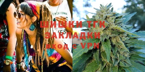 хмурый Белокуриха